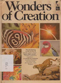 1911560 - Wonders Of Creation