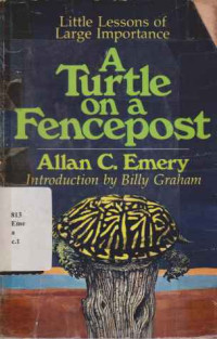 27480 - A Turtle On A Fencepost
