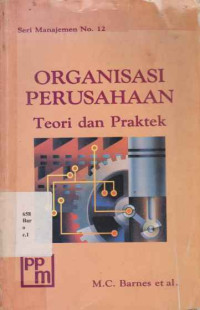 37409 - Organisasi Perusahaan