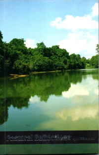 Pastoal Reflections